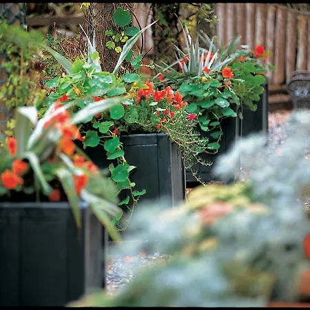 Kelly's & 4* روسلير