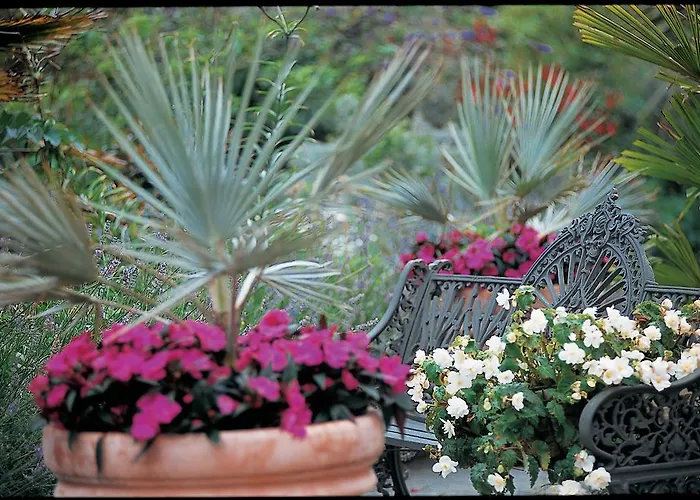 Отель Kelly's & Рослэр