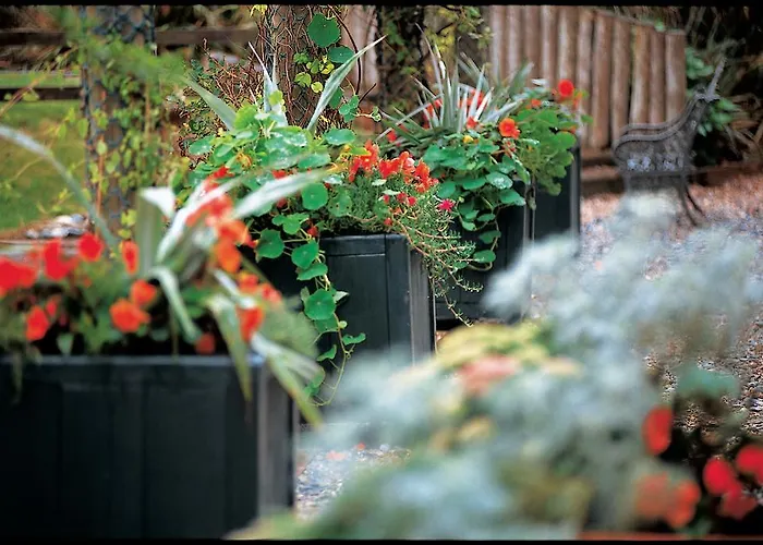 Kelly's & 4* Рослэр